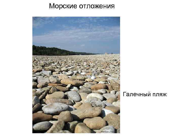 Морские отложения Галечный пляж 