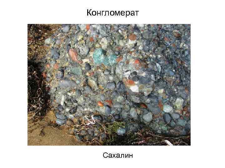 Конгломерат Сахалин 
