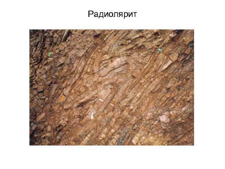 Радиолярит 