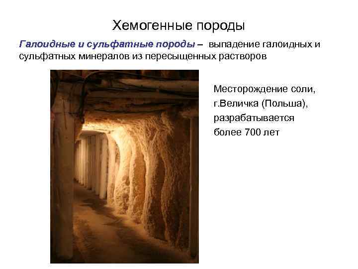 Хемогенные породы Галоидные и сульфатные породы – выпадение галоидных и сульфатных минералов из пересыщенных