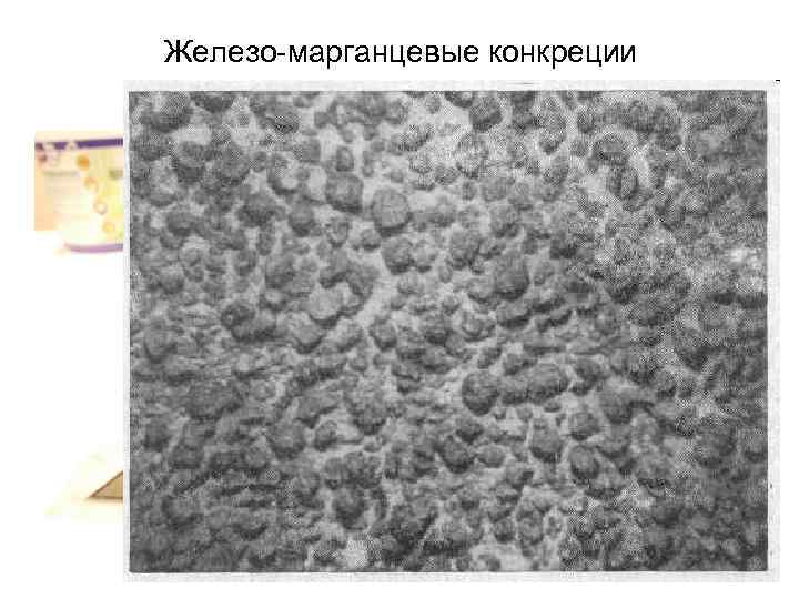 Железо-марганцевые конкреции 