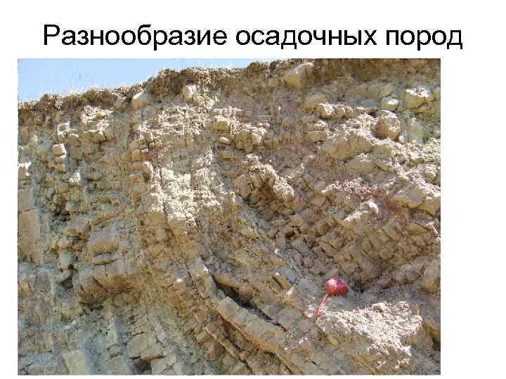 Разнообразие осадочных пород 