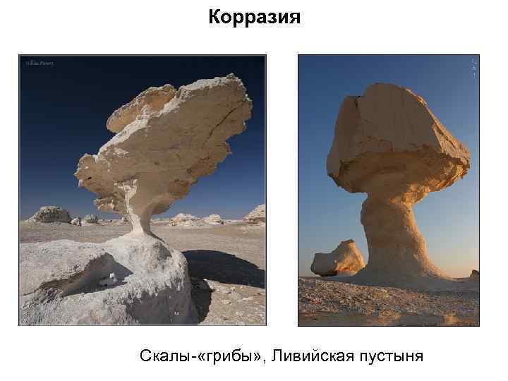 Корразия Скалы- «грибы» , Ливийская пустыня 