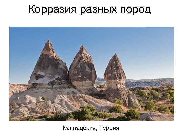 Корразия разных пород Каппадокия, Турция 