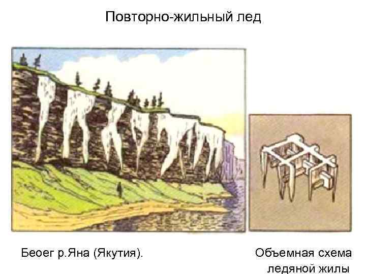 Повторно-жильный лед Беоег р. Яна (Якутия). Объемная схема ледяной жилы 