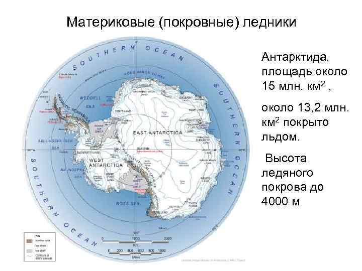 Материковые (покровные) ледники Антарктида, площадь около 15 млн. км 2 , около 13, 2