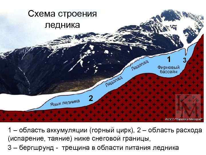 Части ледника. Схема образования горного ледника. Строение ледника. Строение горных ледников. Строение ледника схема.