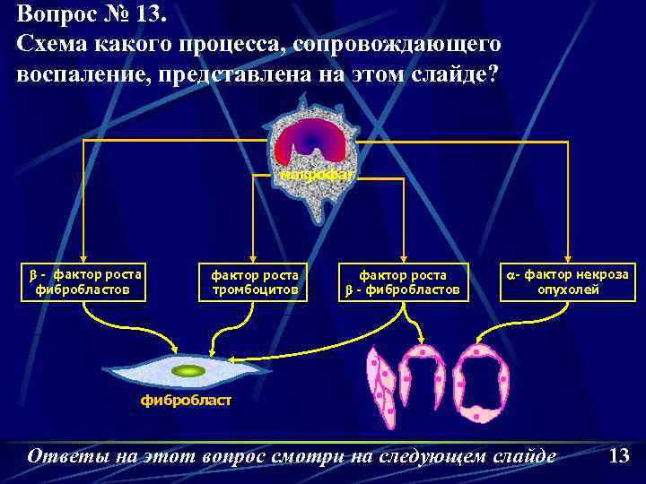 Вопрос № 13. Схема какого процесса, сопровождающего воспаление, представлена на этом слайде? макрофаг b
