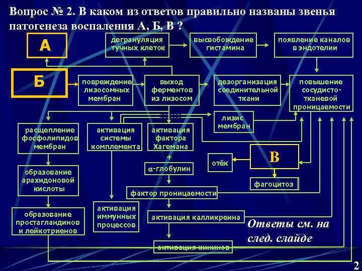 Вопрос № 2. В каком из ответов правильно названы звенья патогенеза воспаления А, Б,