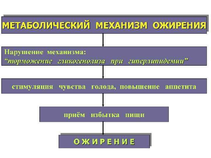 Ожирение патофизиология презентация