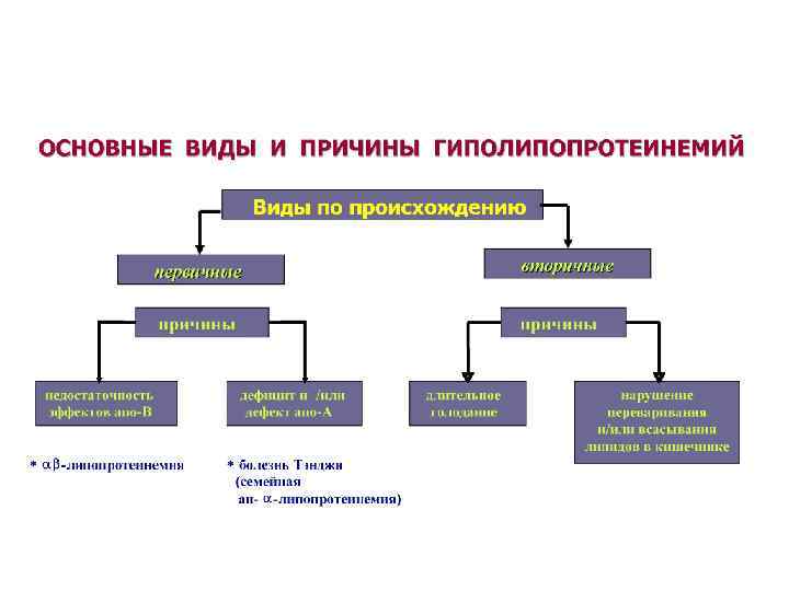 Нарушение липидного обмена презентация патофизиология