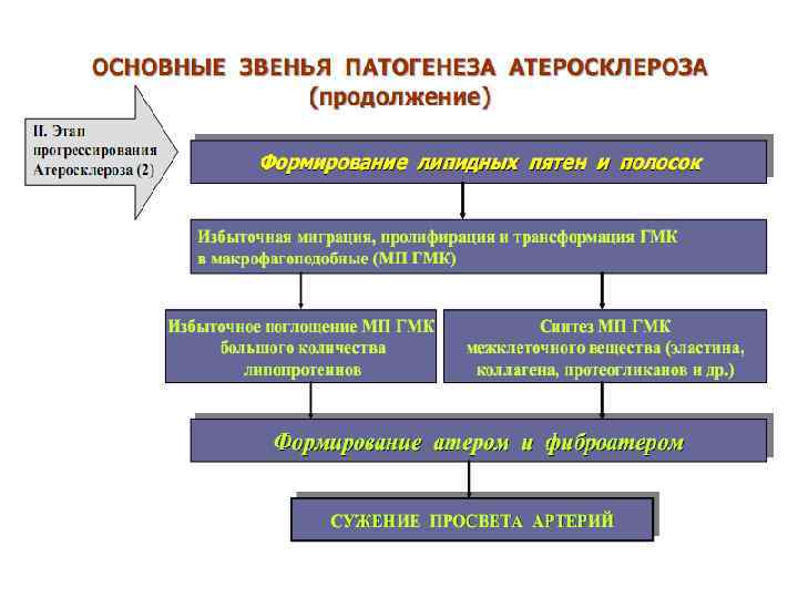 Схема липидного обмена