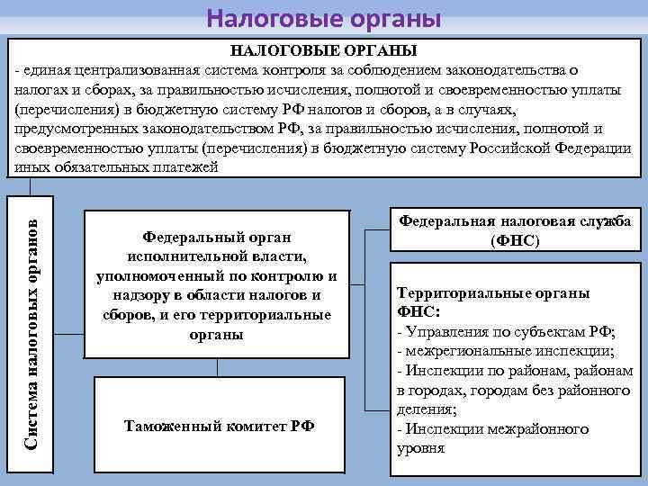 Правовой статус налогоплательщика сложный план