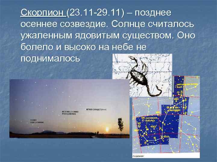 Скорпион (23. 11 -29. 11) – позднее осеннее созвездие. Солнце считалось ужаленным ядовитым существом.