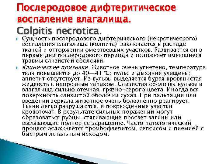 Послеродовое дифтеритическое воспаление влагалища. Colpitis necrotica. Сущность послеродового дифтерического (некротического) воспаления влагалища (колпита) заключается