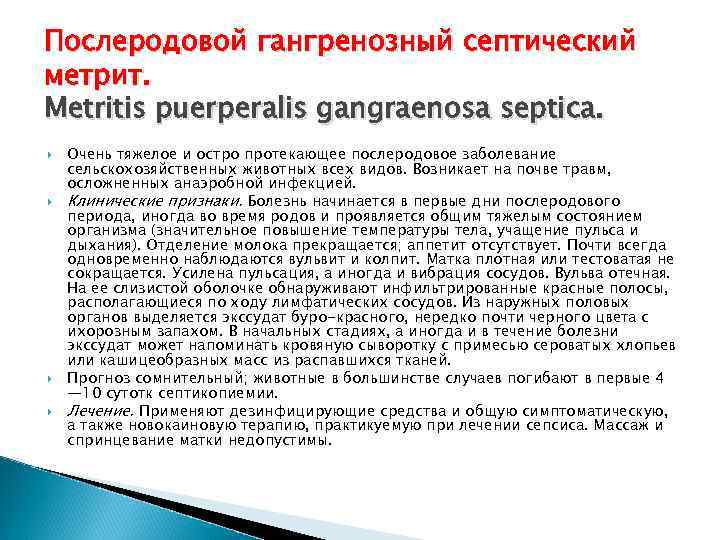 Послеродовой гангренозный септический метрит. Metritis puerperalis gangraenosa septica. Очень тяжелое и остро протекающее послеродовое