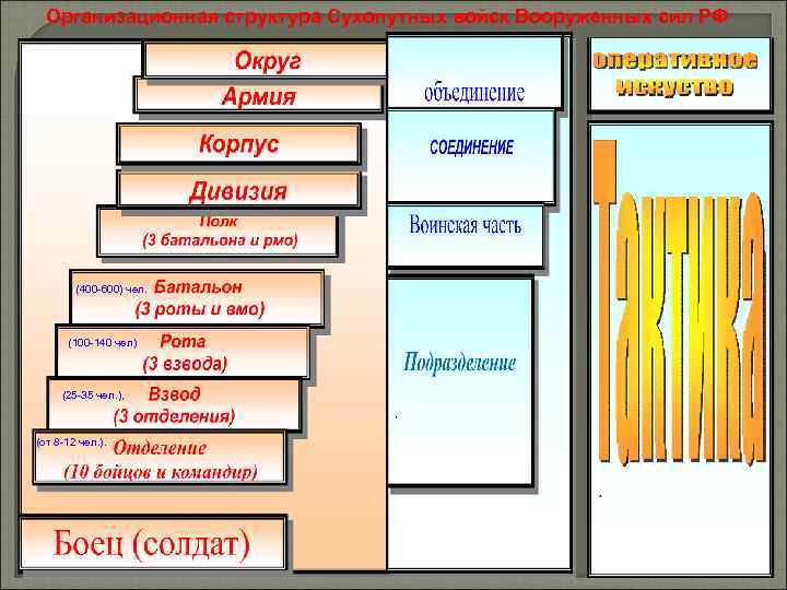 Организационная структура Сухопутных войск Вооруженных сил РФ. (400 -600) чел. (100 -140 чел) (25