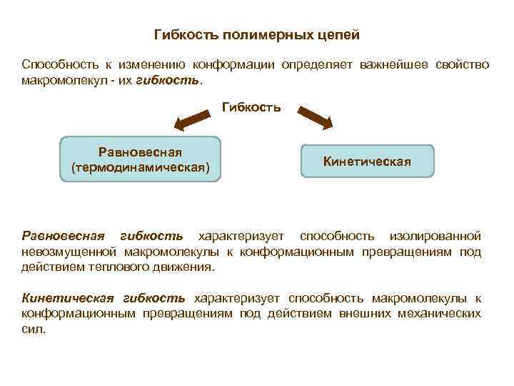 Гибкость полимерных цепей Способность к изменению конформации определяет важнейшее свойство макромолекул - их гибкость.