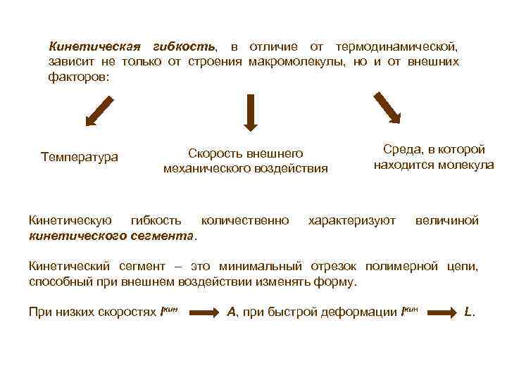 Кинетическая гибкость, в отличие от термодинамической, зависит не только от строения макромолекулы, но и