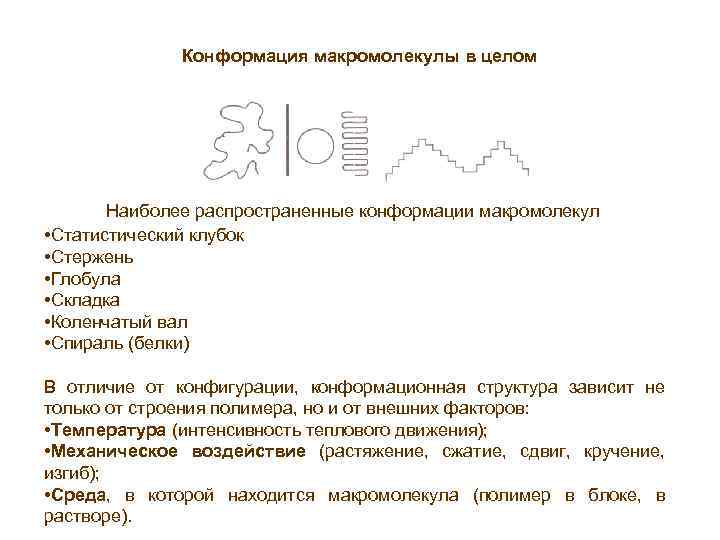 Конформация макромолекулы в целом Наиболее распространенные конформации макромолекул • Статистический клубок • Стержень •