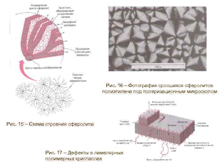Рис. 16 – Фотография сросшихся сферолитов полиэтилена под поляризационным микроскопом Рис. 15 – Схема