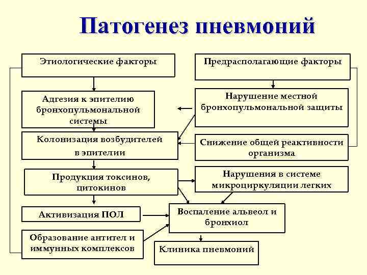 Патогенез пневмонии схема