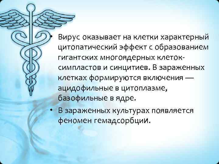  • Вирус оказывает на клетки характерный цитопатический эффект с образованием гигантских многоядерных клетоксимпластов