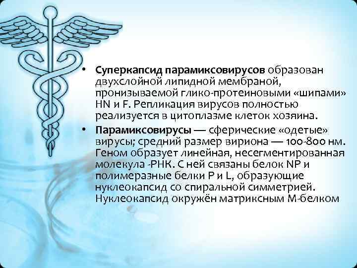  • Суперкапсид парамиксовирусов образован двухслойной липидной мембраной, пронизываемой глико-протеиновыми «шипами» HN и F.