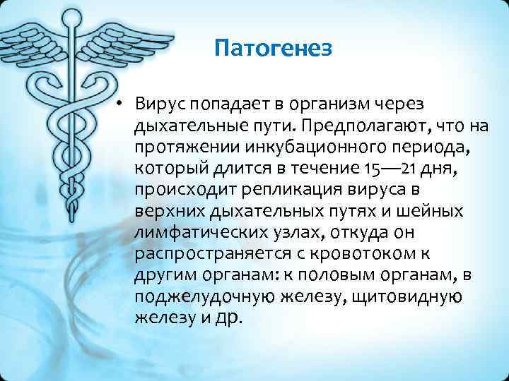 Патогенез • Вирус попадает в организм через дыхательные пути. Предполагают, что на протяжении инкубационного