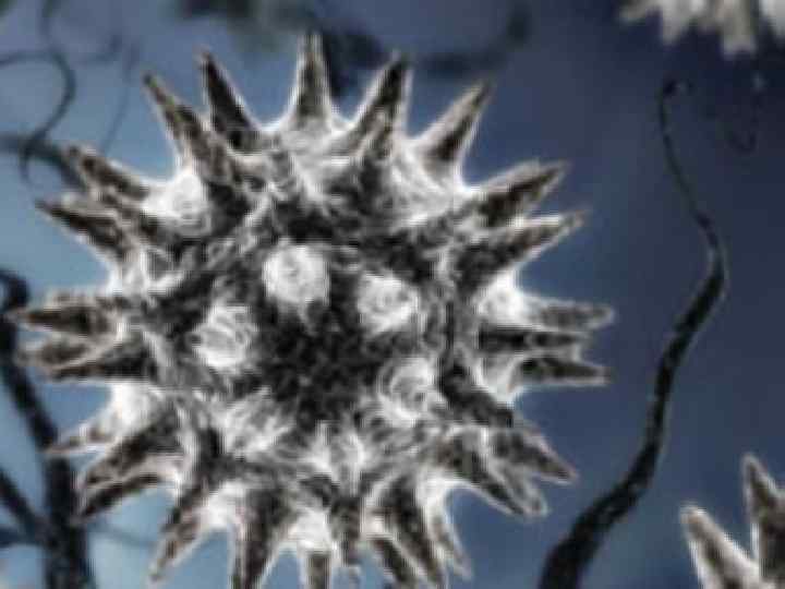 Вирус парагриппа фото