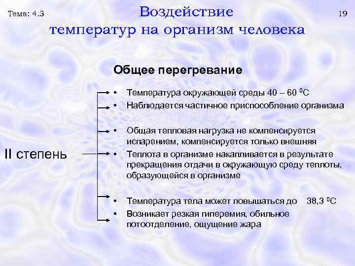 Температура тела в организме