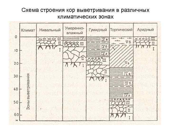 Схема строения кор выветривания в различных климатических зонах 