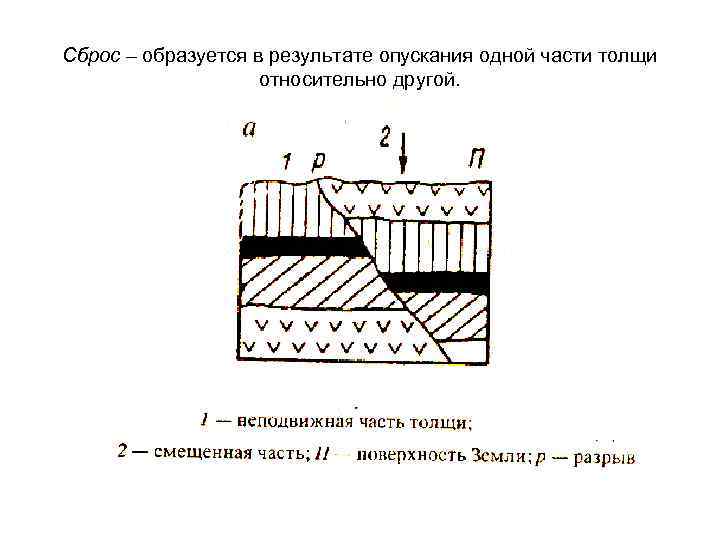 Сброс – образуется в результате опускания одной части толщи относительно другой. 