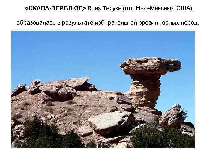  «СКАЛА-ВЕРБЛЮД» близ Тесуке (шт. Нью-Мексико, США), образовалась в результате избирательной эрозии горных пород.