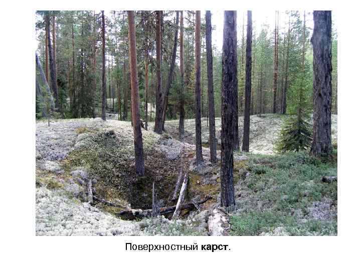 Поверхностный карст. 