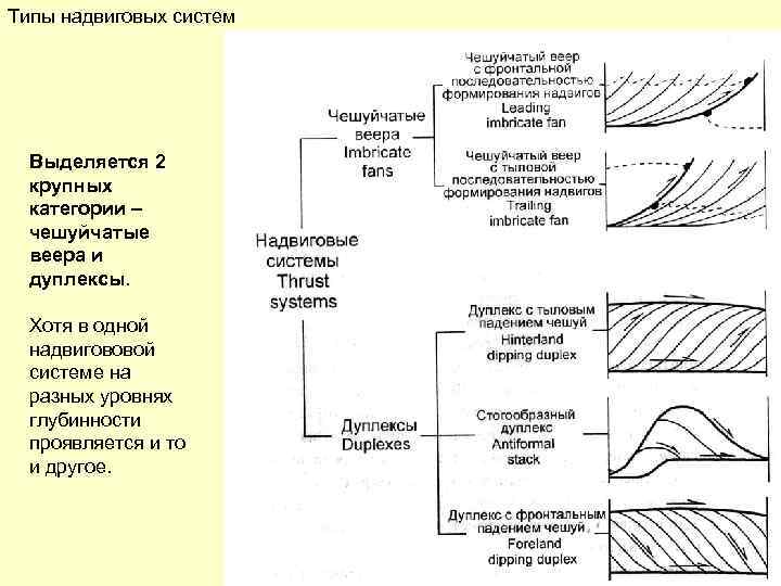 Типы надвиговых систем Выделяется 2 крупных категории – чешуйчатые веера и дуплексы. Хотя в