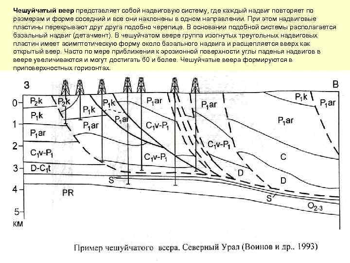 Чешуйчатый веер представляет собой надвиговую систему, где каждый надвиг повторяет по размерам и форме