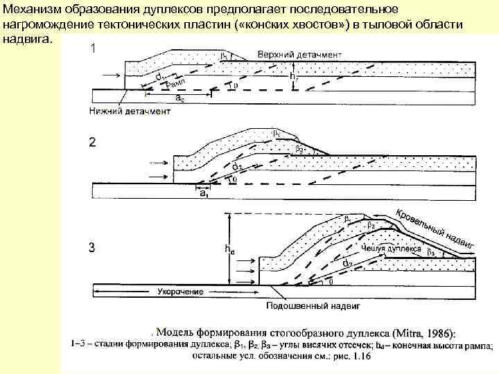Механизм образования дуплексов предполагает последовательное нагромождение тектонических пластин ( «конских хвостов» ) в тыловой