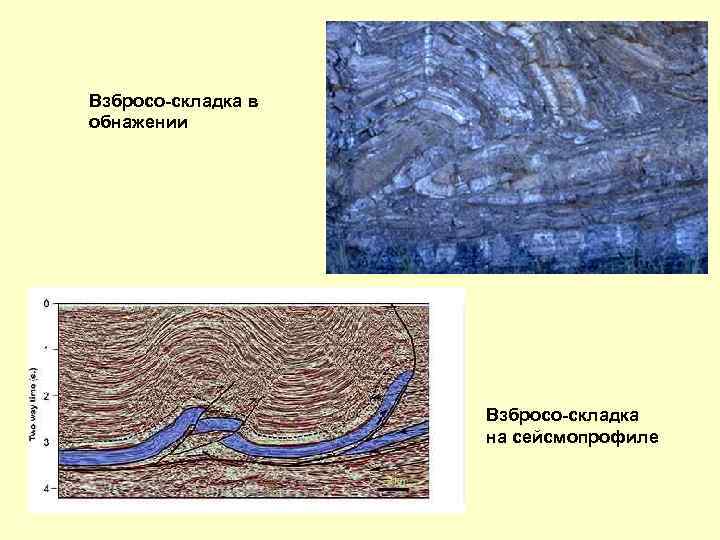 Взбросо-складка в обнажении Взбросо-складка на сейсмопрофиле 