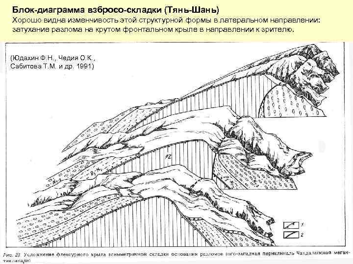 Блок-диаграмма взбросо-складки (Тянь-Шань) Хорошо видна изменчивость этой структурной формы в латеральном направлении: затухание разлома