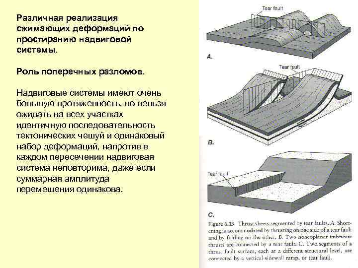 Различная реализация сжимающих деформаций по простиранию надвиговой системы. Роль поперечных разломов. Надвиговые системы имеют