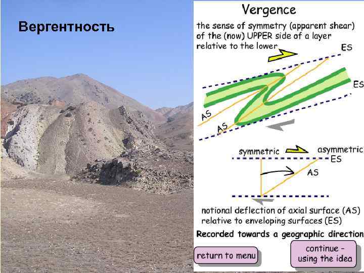 Вергентность 