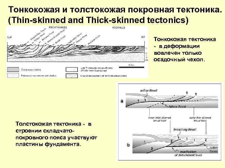 Тонкокожая и толстокожая покровная тектоника. (Thin-skinned and Thick-skinned tectonics) Тонкокожая тектоника - в деформации