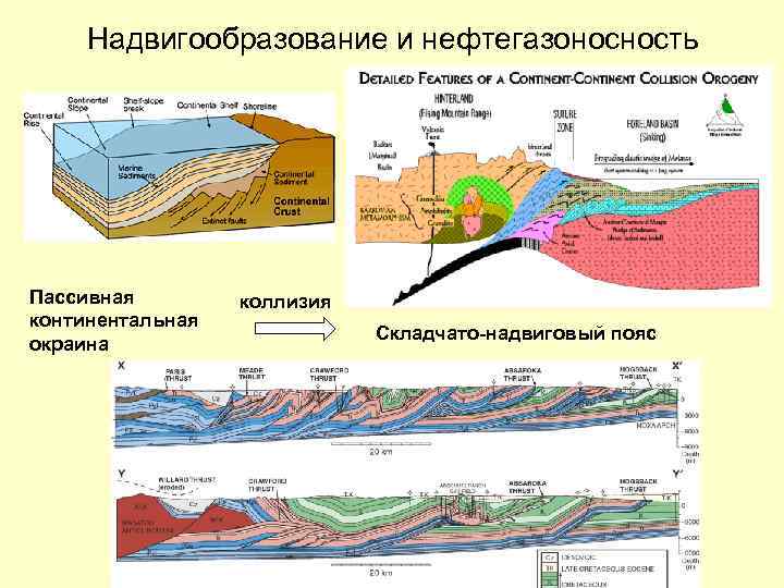 Надвигообразование и нефтегазоносность Пассивная континентальная окраина коллизия Складчато-надвиговый пояс 