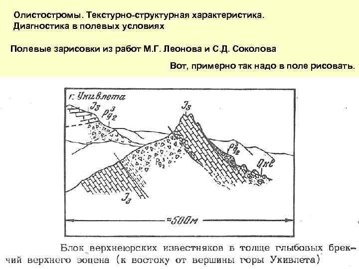 Олистостромы. Текстурно-структурная характеристика. Диагностика в полевых условиях Полевые зарисовки из работ М. Г. Леонова