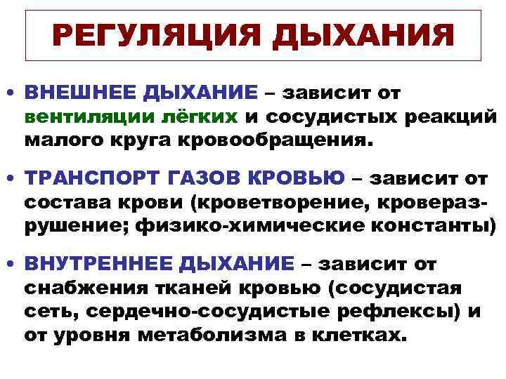 РЕГУЛЯЦИЯ ДЫХАНИЯ • ВНЕШНЕЕ ДЫХАНИЕ – зависит от вентиляции лёгких и сосудистых реакций малого