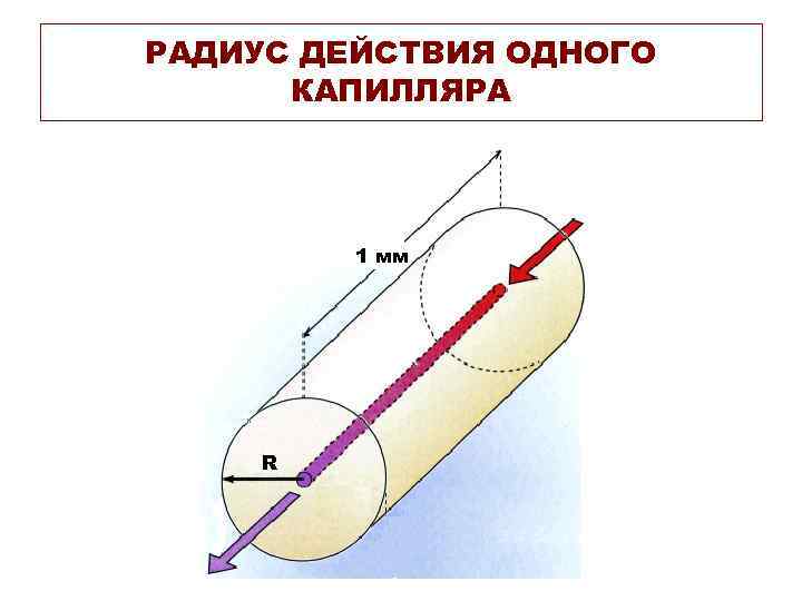 РАДИУС ДЕЙСТВИЯ ОДНОГО КАПИЛЛЯРА 1 мм R 