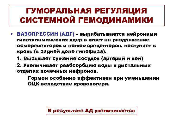 ГУМОРАЛЬНАЯ РЕГУЛЯЦИЯ СИСТЕМНОЙ ГЕМОДИНАМИКИ • ВАЗОПРЕССИН (АДГ) – вырабатывается нейронами гипоталамических ядер в ответ