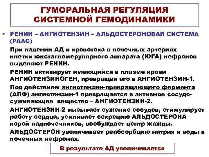 ГУМОРАЛЬНАЯ РЕГУЛЯЦИЯ СИСТЕМНОЙ ГЕМОДИНАМИКИ • РЕНИН – АНГИОТЕНЗИН – АЛЬДОСТЕРОНОВАЯ СИСТЕМА (РААС) При падении