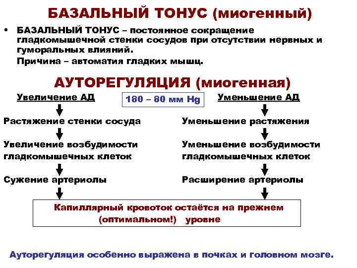 Тонус сосудов